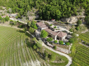 Cascina Bertolotto Wine Resort Spigno Monferrato
